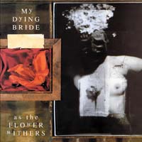 As the Flower Withers